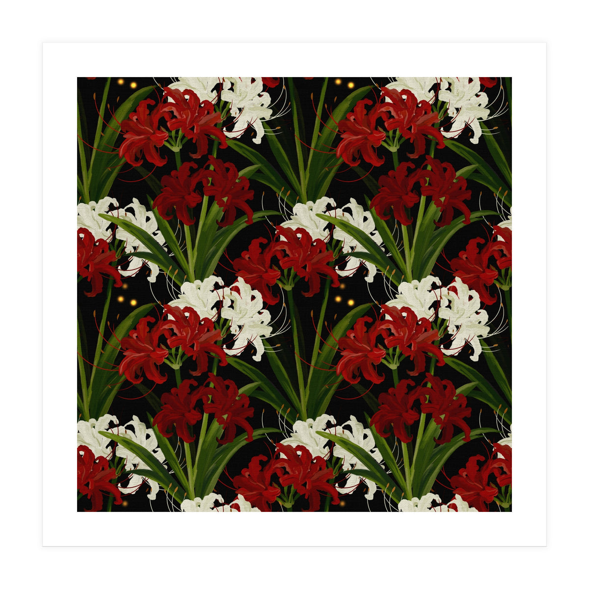 Red and White Spider Lily Flower Print Elegant Botanical Japanese Inspired Floral Artwork (Print Only)