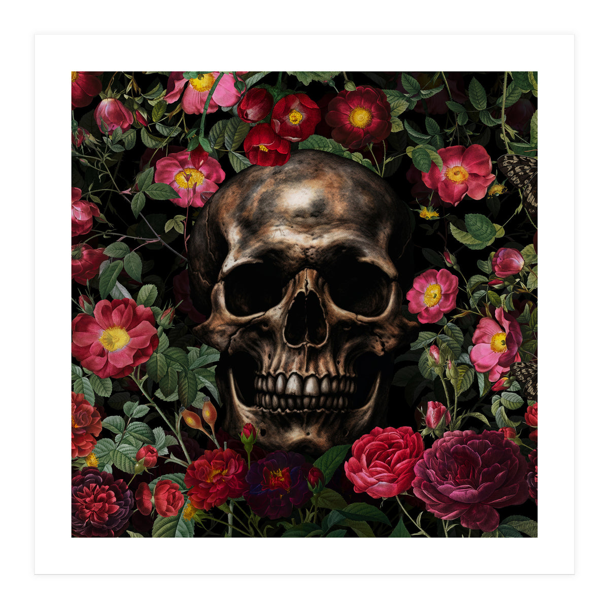 Baroque  Skull And Roses Night Garden 1 (Print Only)