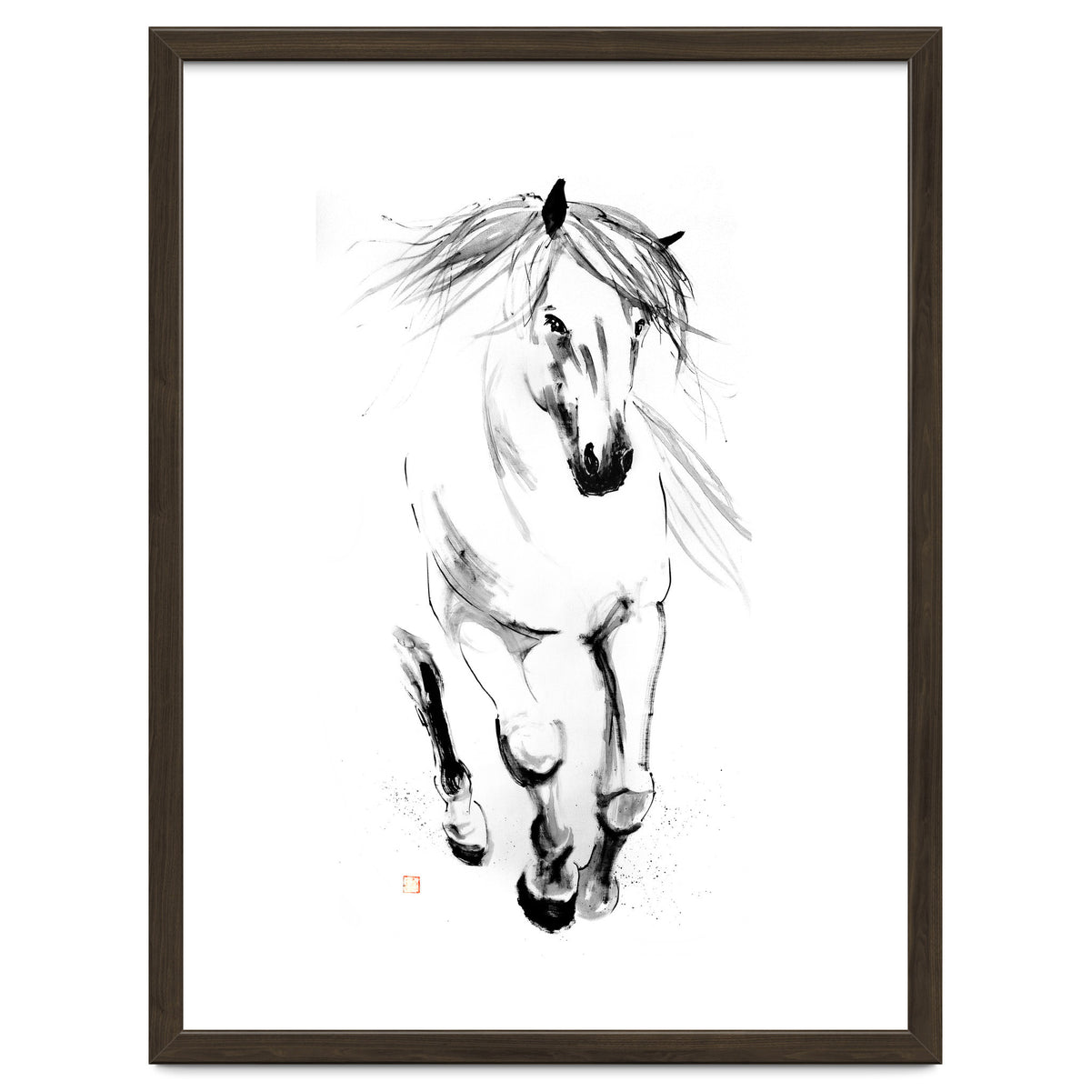 Runninh Ghorse In Water