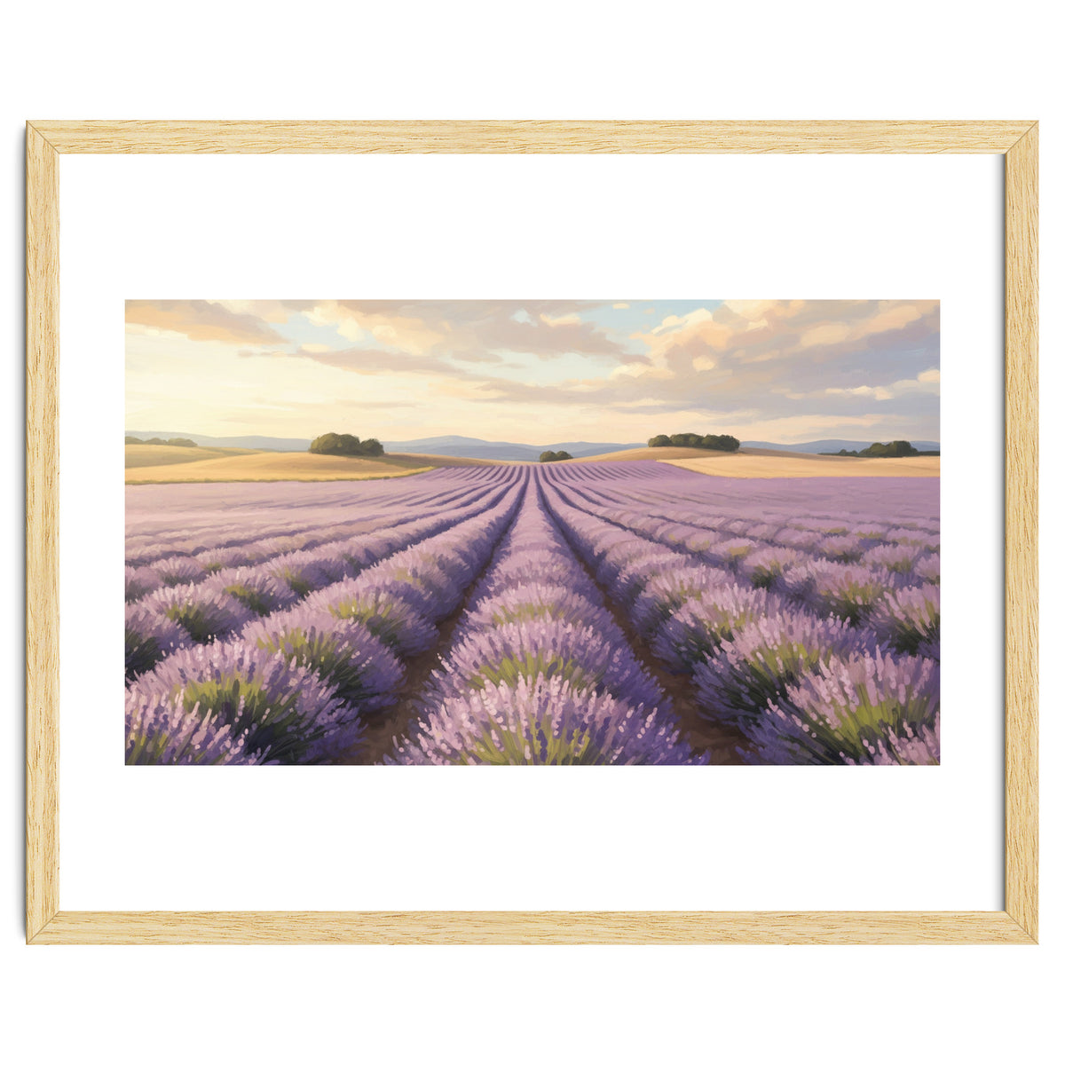Provençal Sunset: Lavender Field Landscape