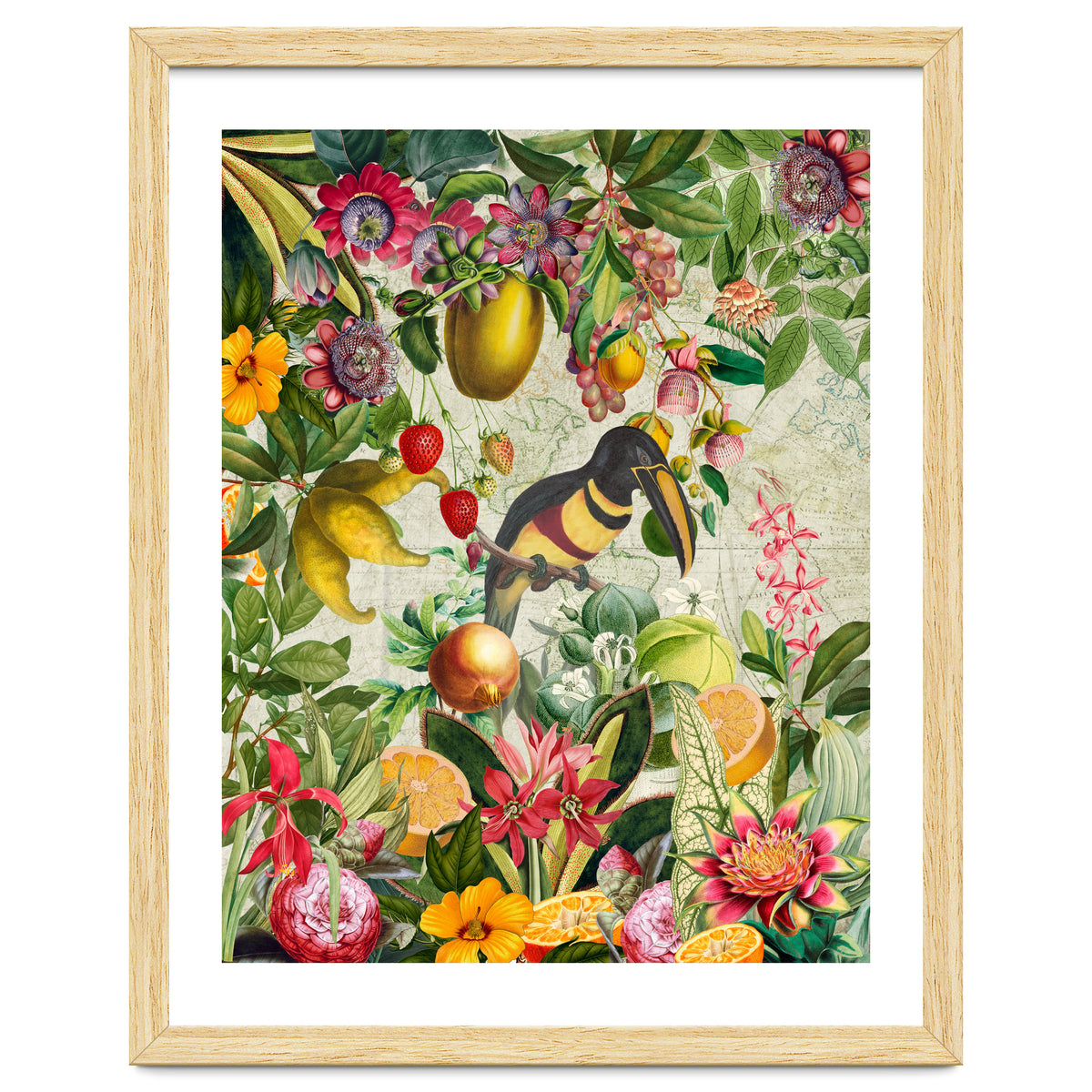 Toucan vintage jungle