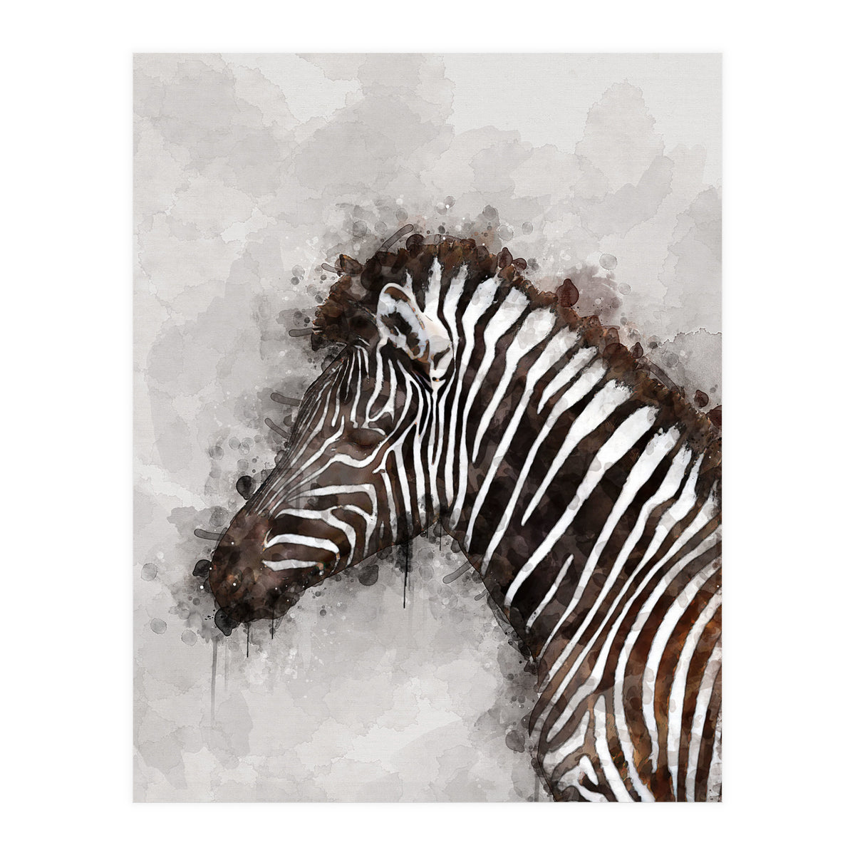 Zebra Watercolor (Print Only)