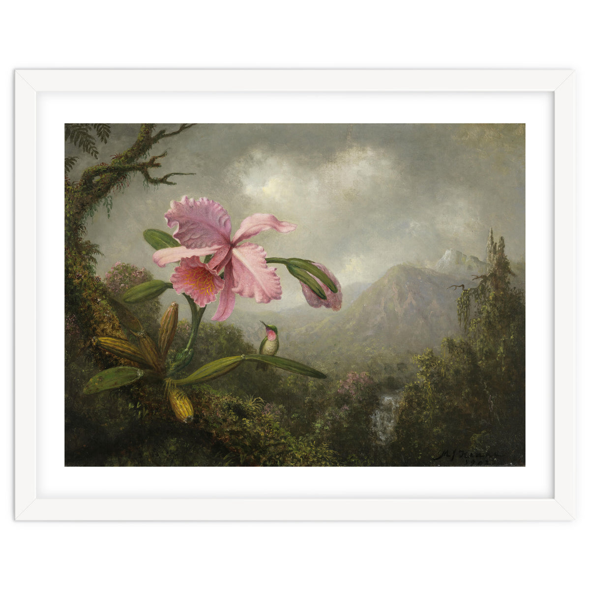 Martin Johnson Heade (Lumberville, 1819-St. Augustine, 1904). Orchid and Hummingbird near a Water...