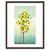 Lemon Tree thumbnail