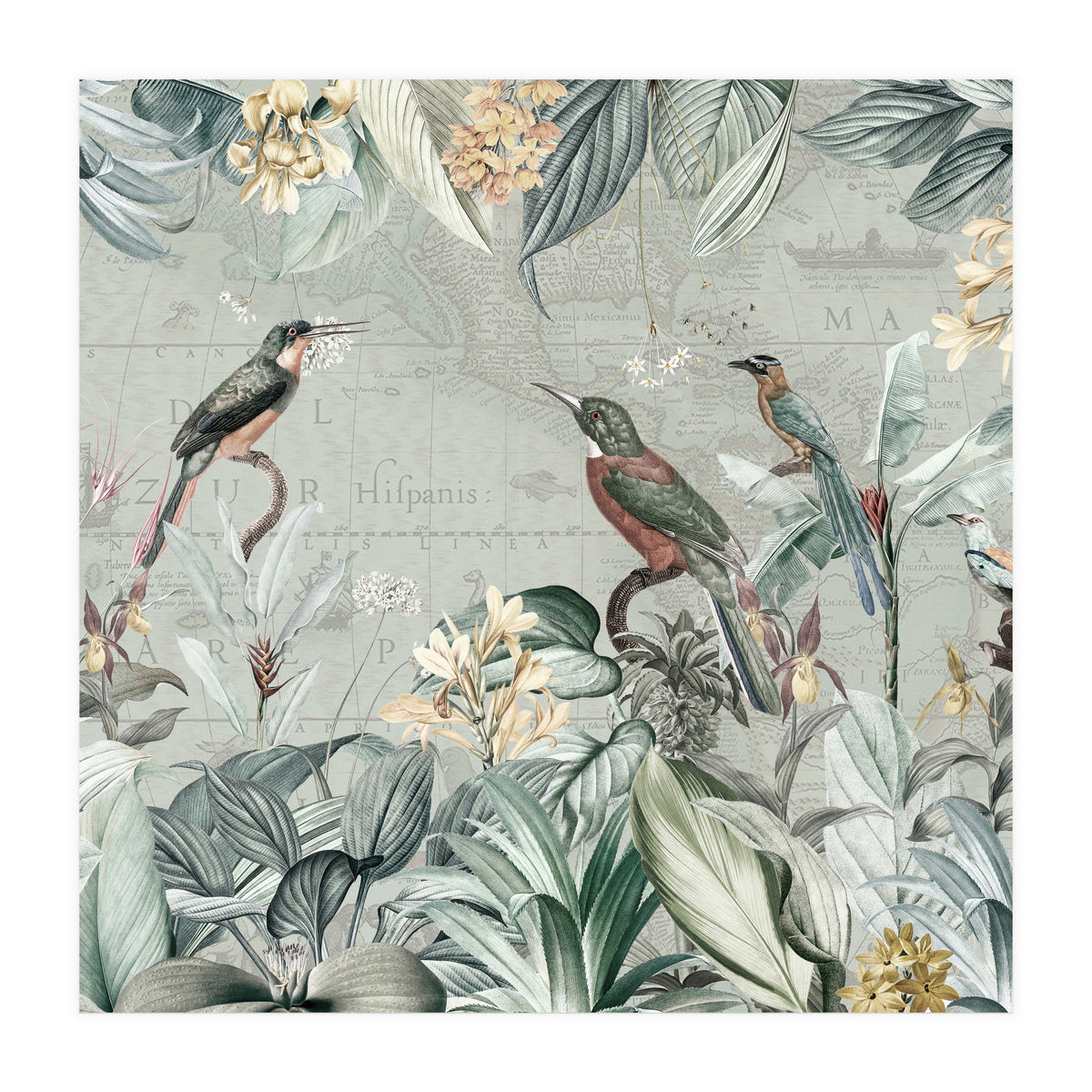 Vintage Exotic Birds Paradise Jungle (Print Only)