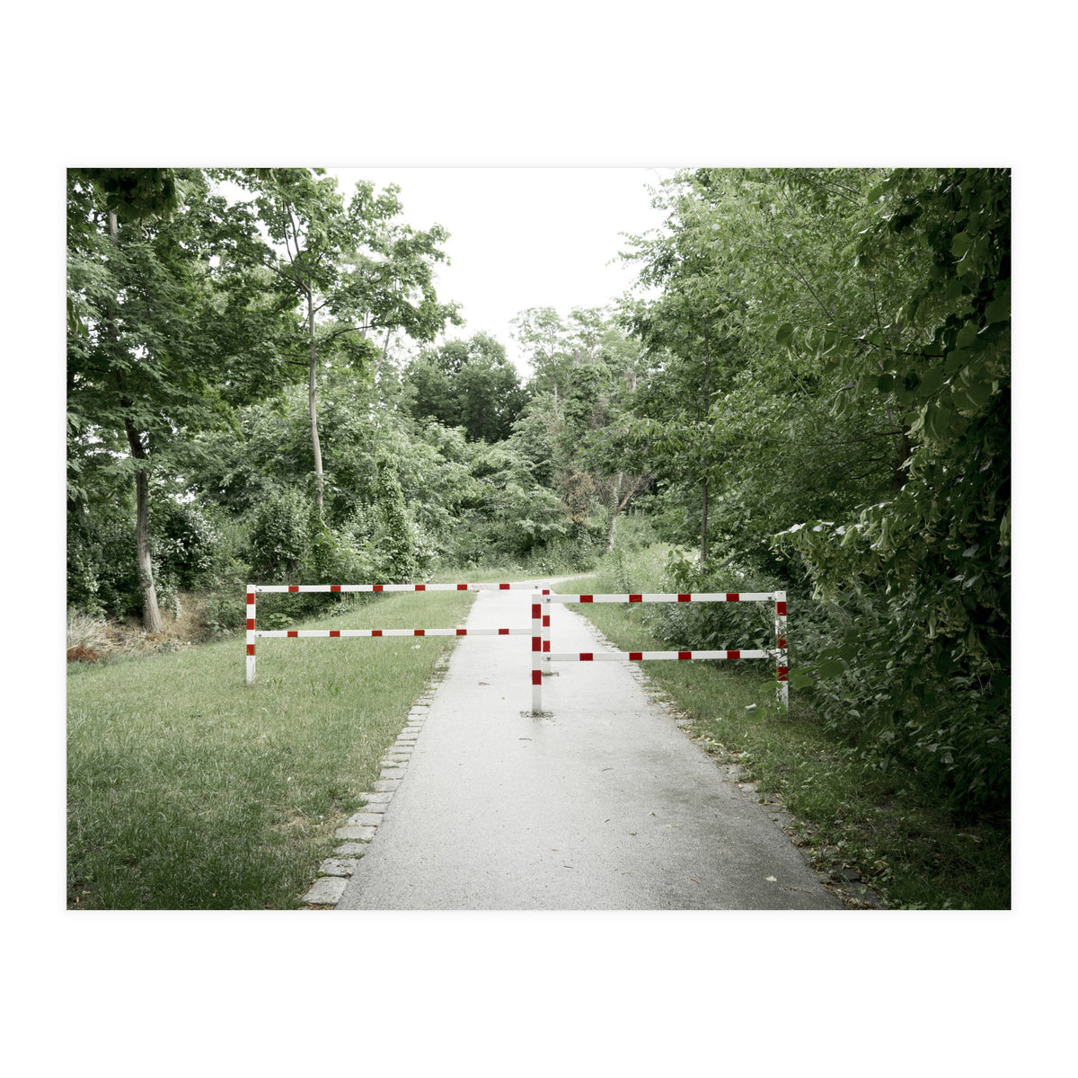 Entrance to the green park (Print Only)