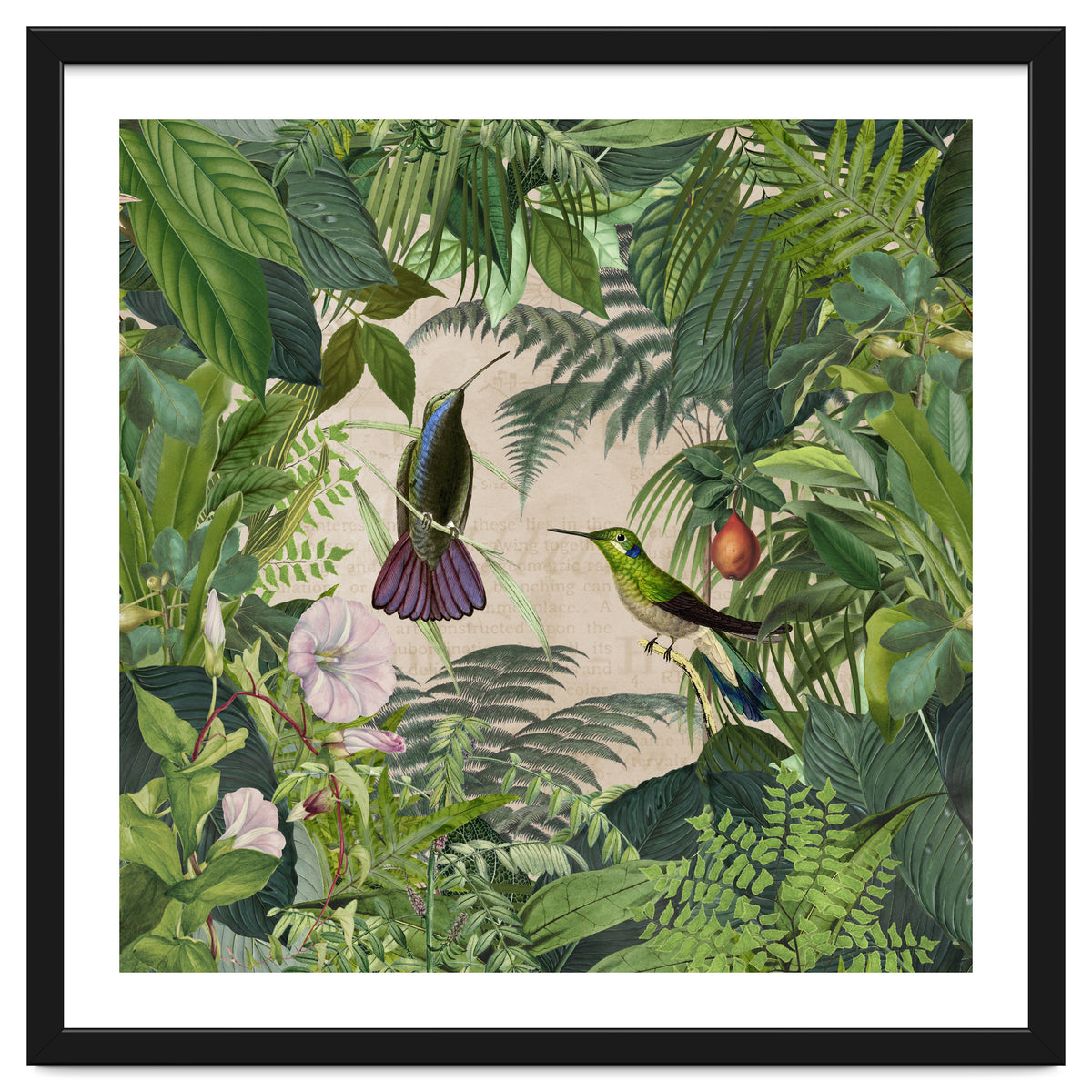 Tropical Hummingbird Jungle