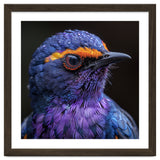 Close Up Portrait Of A Vibrant Exotic Bird thumbnail
