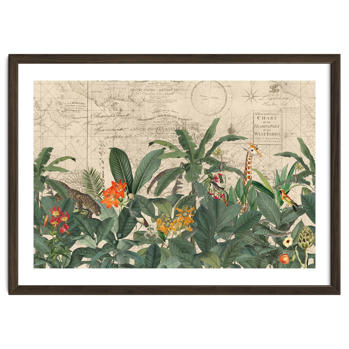 Explore The New World Wild Animals