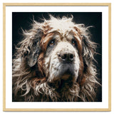 Old Dog 01 thumbnail