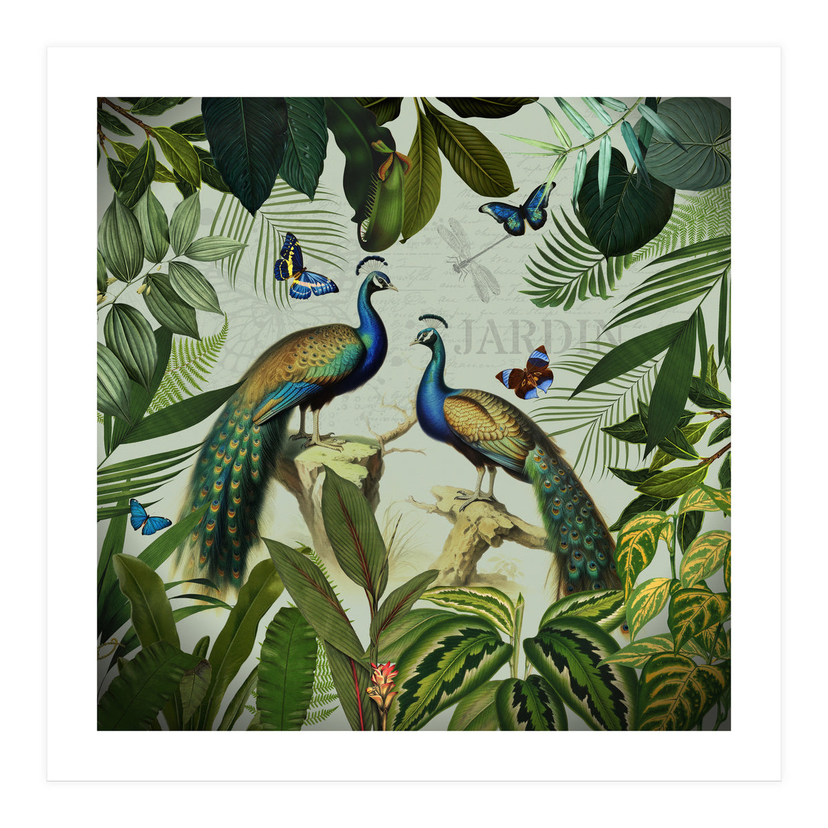 Vintage Exotic Asian Peacocks In Tropical Jungle Landscape (Print Only)