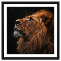 Majestic Lion Portrait Profile Majestic Beast