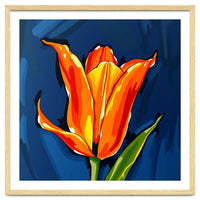 Lily Fresh
