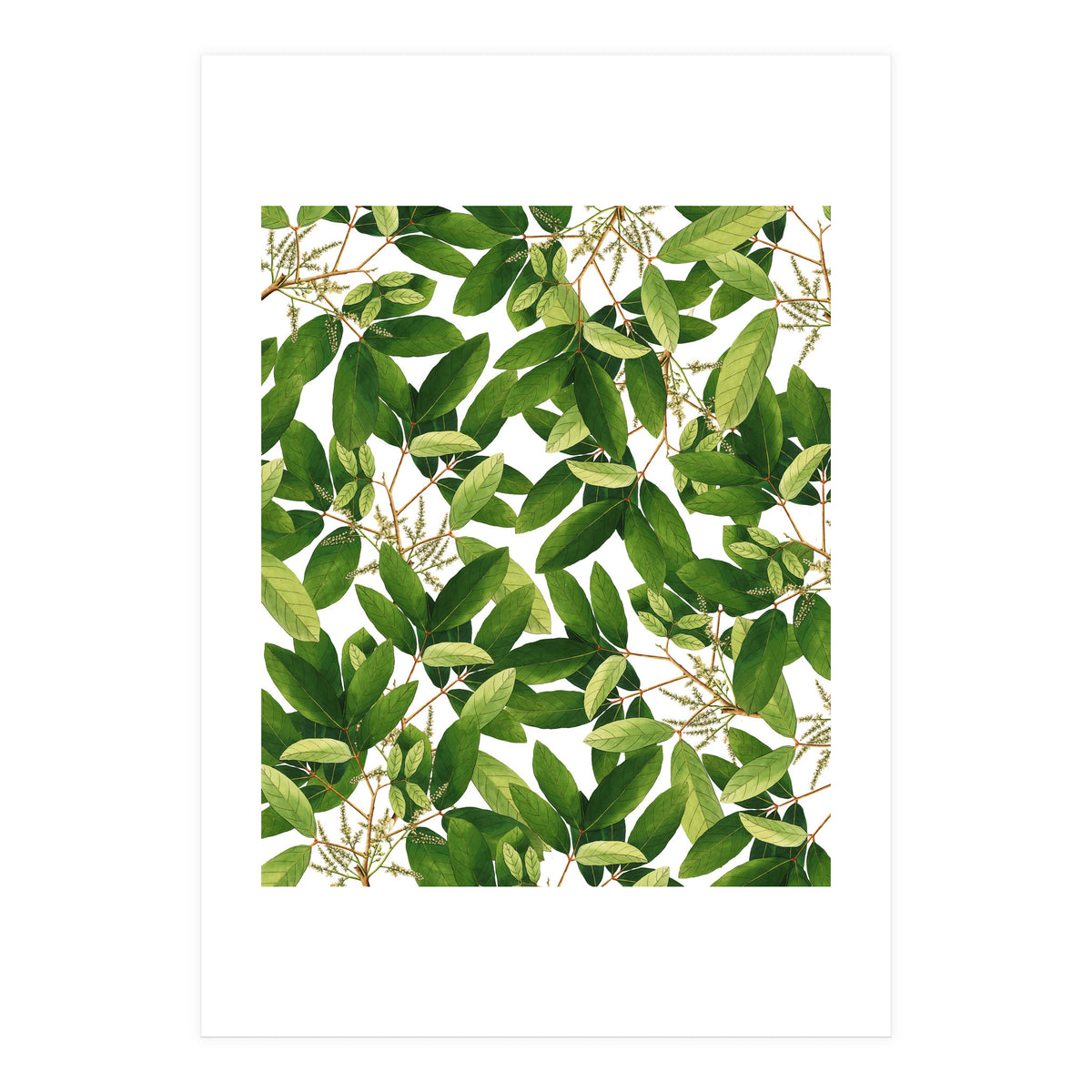Greenery #society6 #decor #buyart (Print Only)