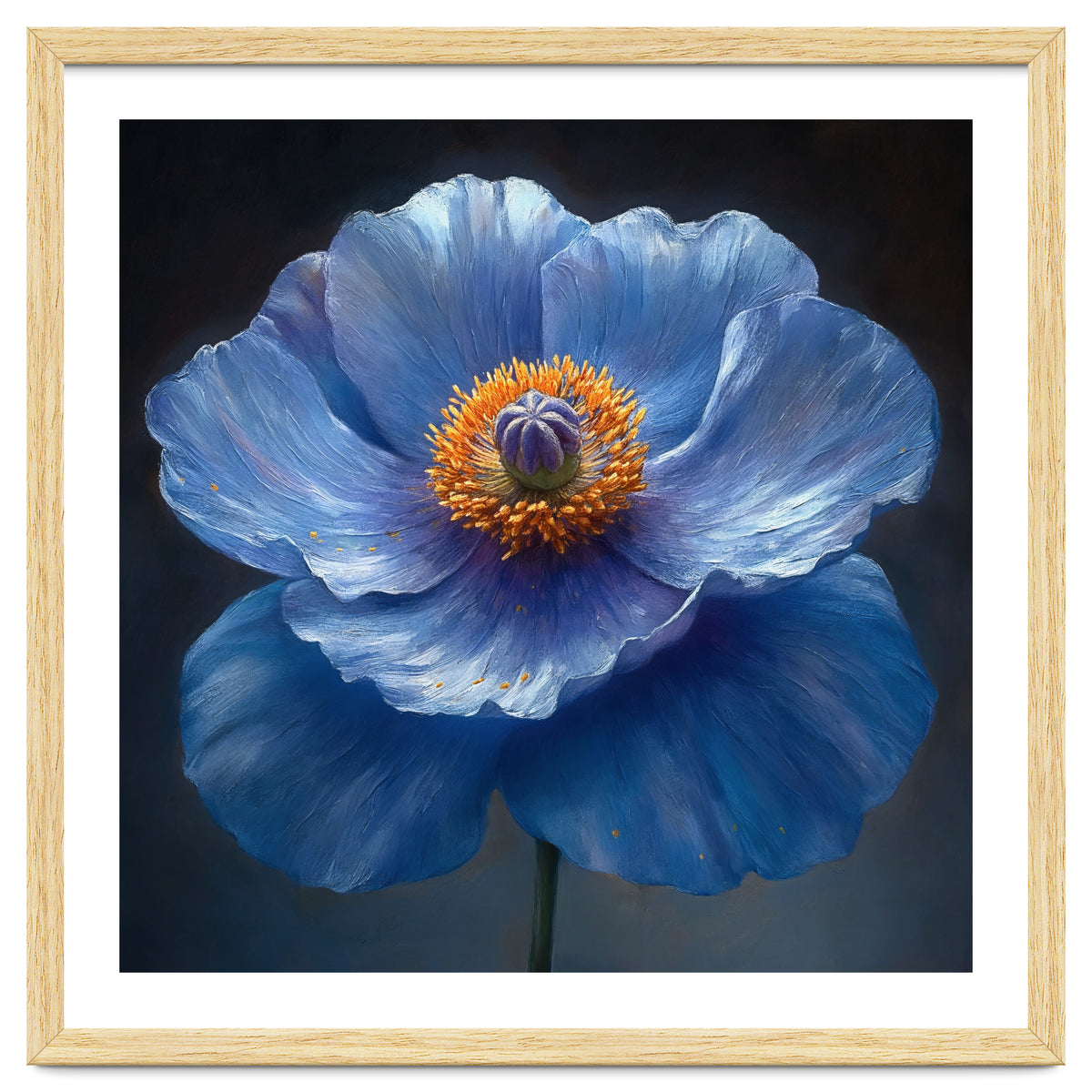 Meconopsis | Sapphire Serenade