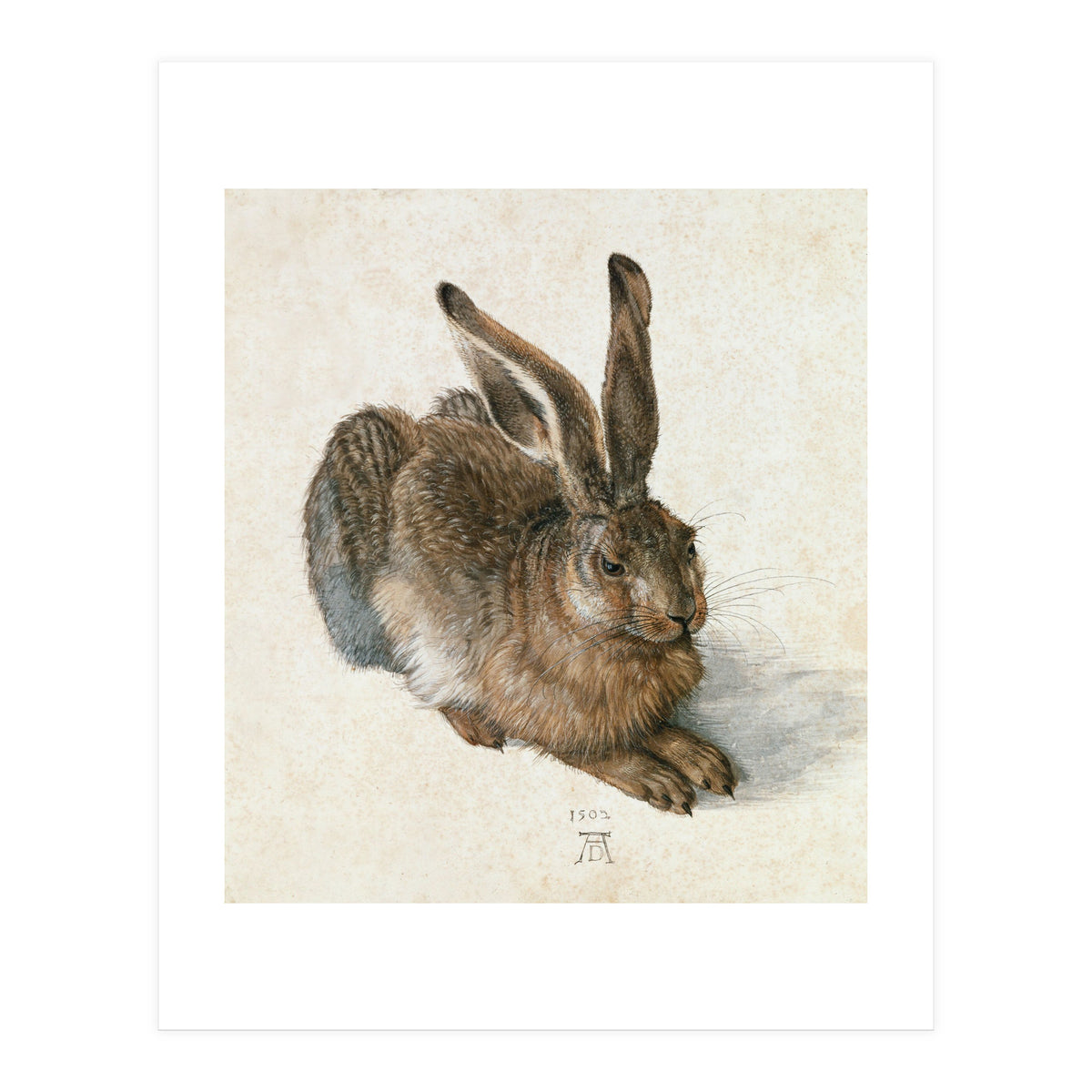 Hare-Hase. Watercolour. (Print Only)