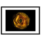 Backyard Flowers No 72 Color Version thumbnail