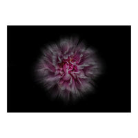 Backyard Flowers No 116 Color Flow Version (Print Only)