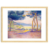 Pines Along the Shore. thumbnail