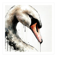 Watercolor Swan Portrait (Print Only)
