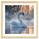 Serene White Swan Gliding On Misty Water thumbnail