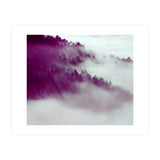 Forest Fog (Print Only) thumbnail