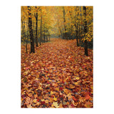 Ethereal Autumn Forest Path (Print Only) thumbnail