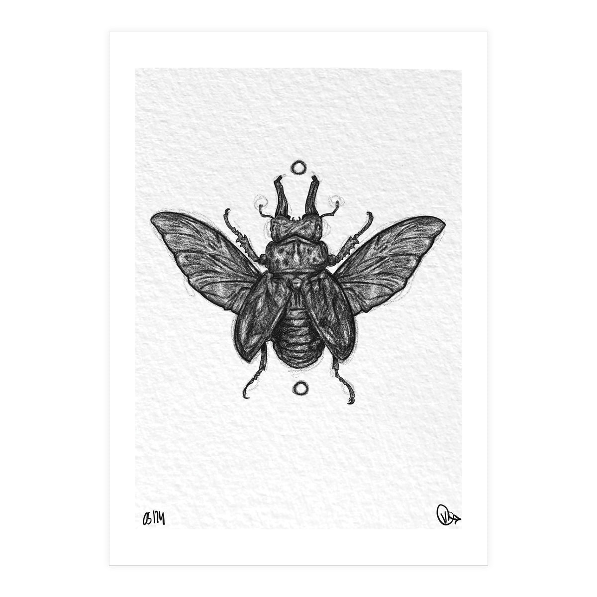 Hirschkäfer  (Print Only)