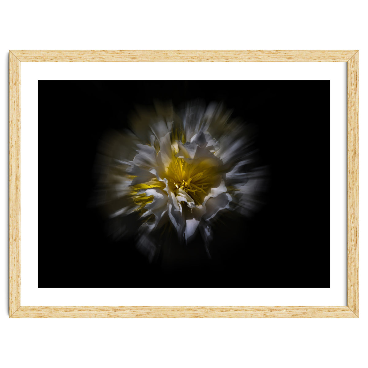 Backyard Flowers No 25 Color Flow Version