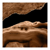 Brown & Gold Agate Texture 13 (Print Only) thumbnail