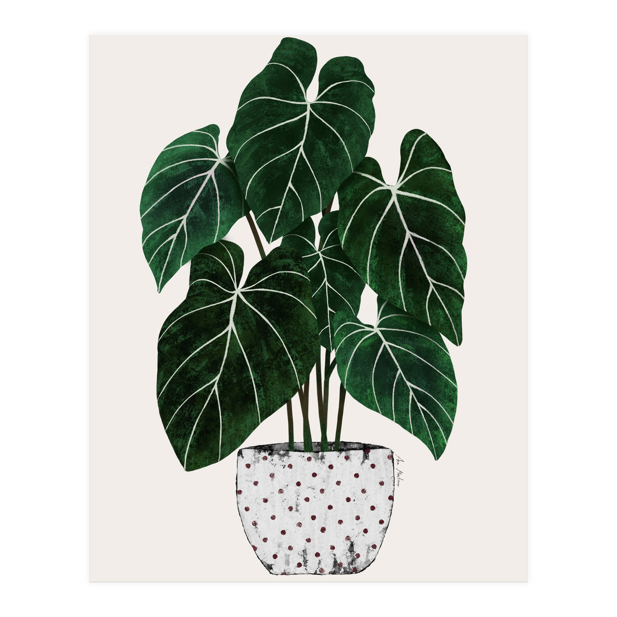 Philodendron Plant (Print Only)