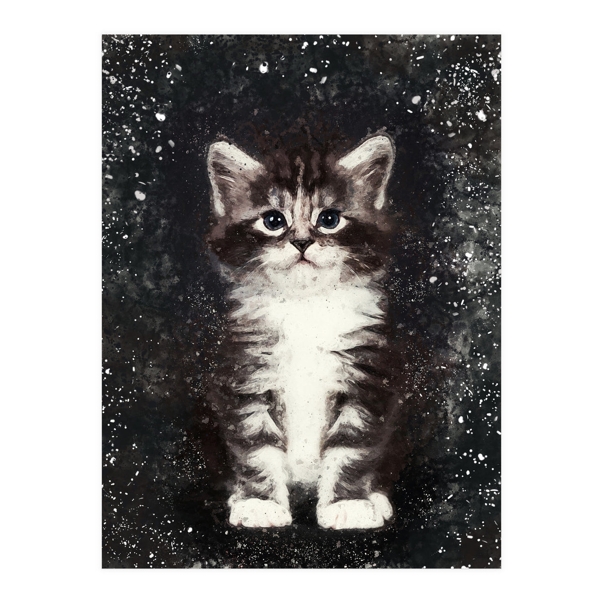 Bicolor Cute Kitten Portrait (Print Only)