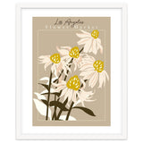 Flower Market Los Angeles Echinacea thumbnail