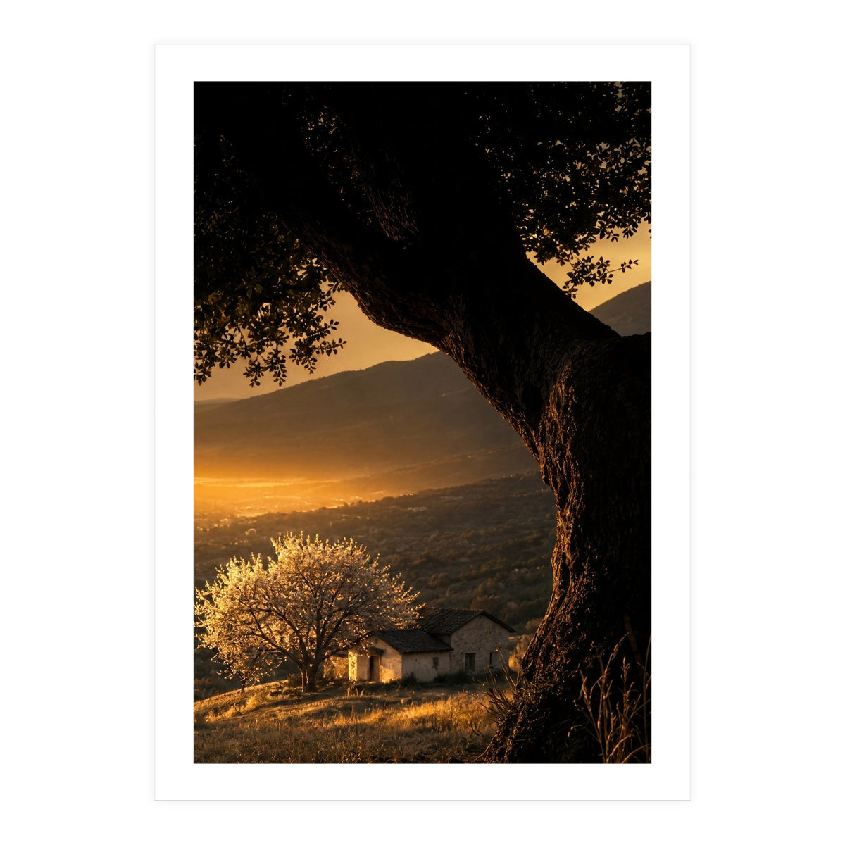 The Hill (Print Only)