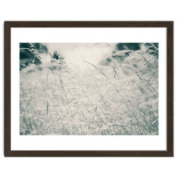 Walking Through Long Grass