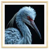 Striking Portrait Of A Blue Heron Bird