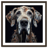 Old Dog 04 thumbnail