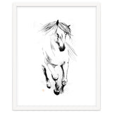 Runninh Ghorse In Water thumbnail