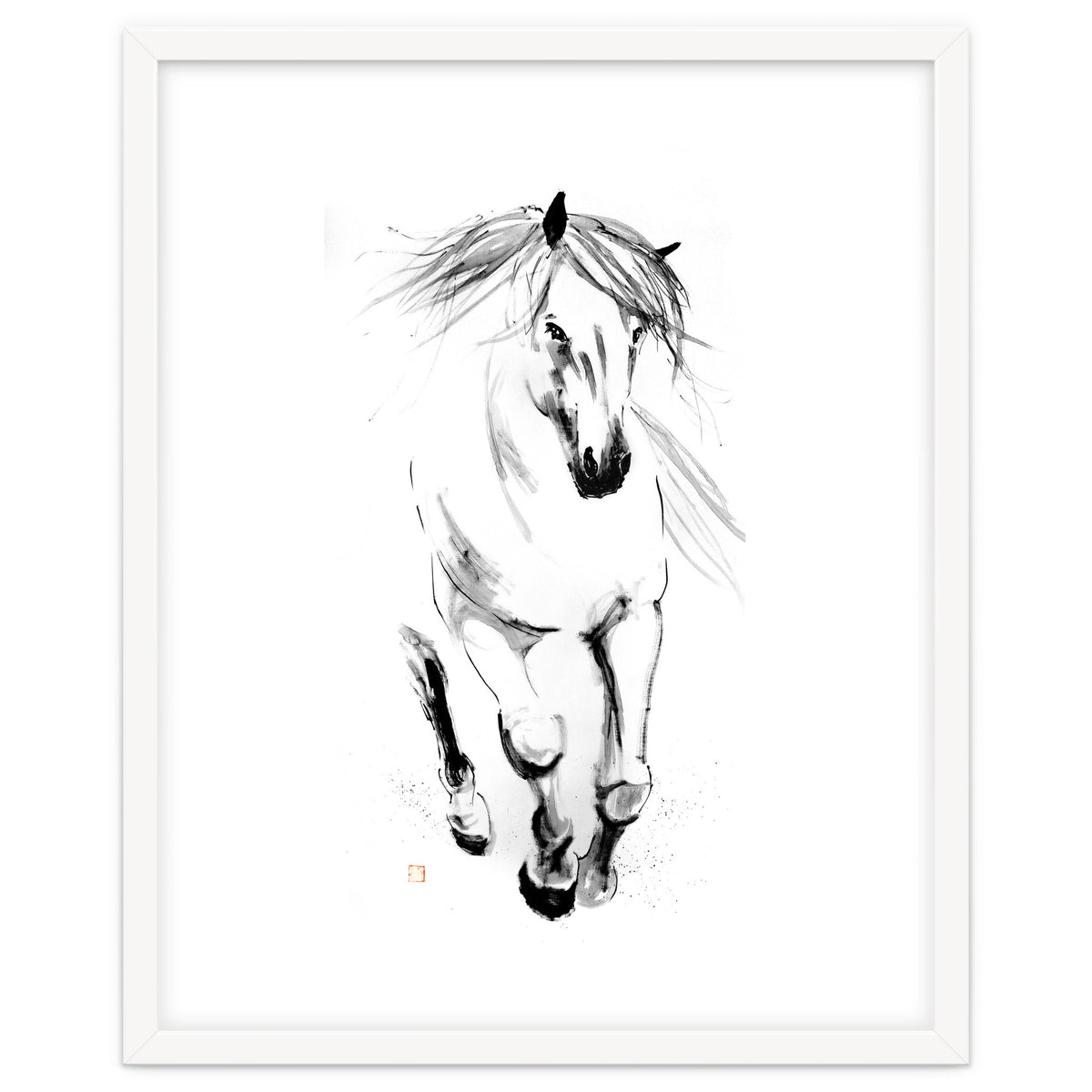 Runninh Ghorse In Water