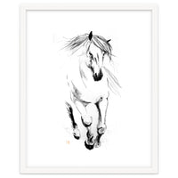 Runninh Ghorse In Water