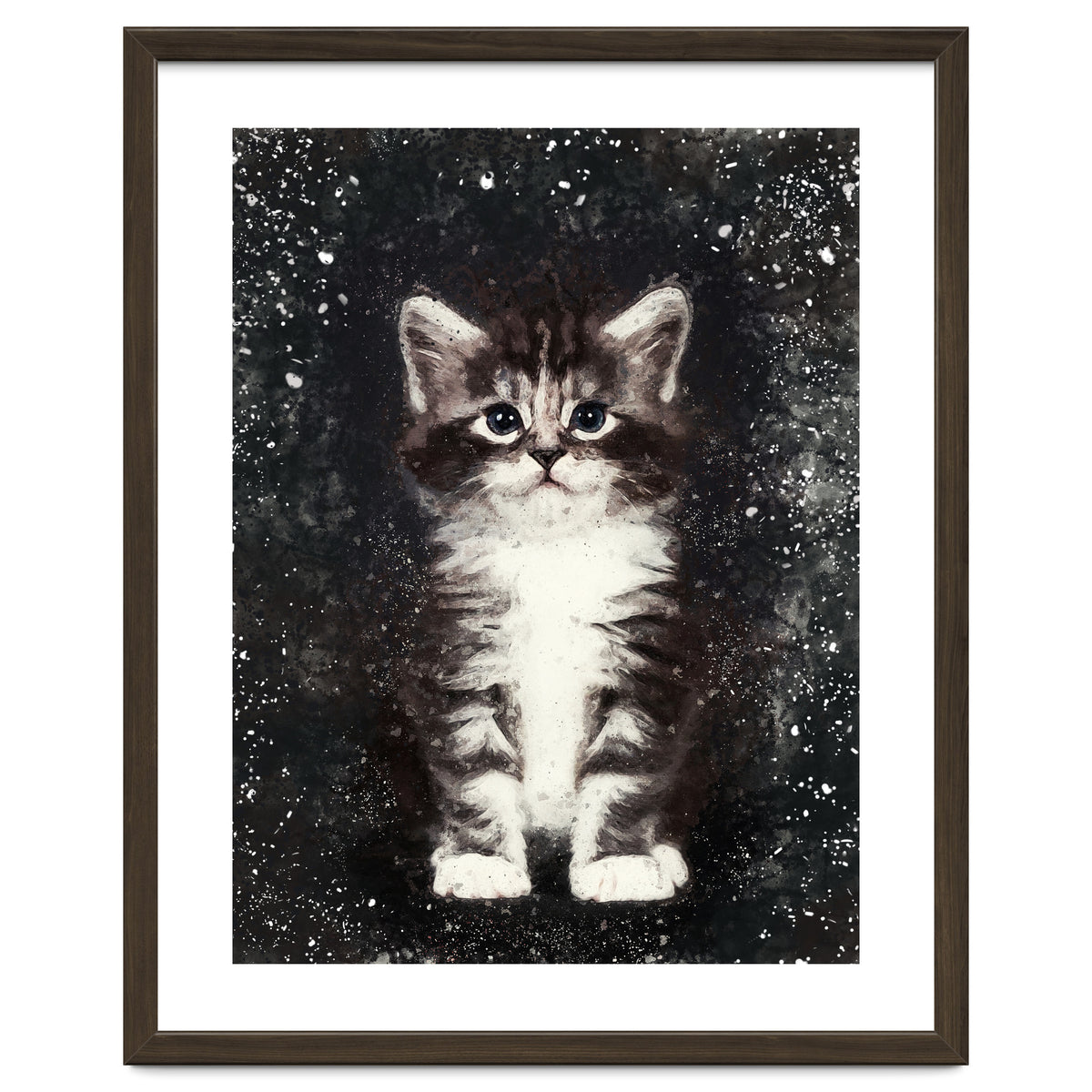 Bicolor Cute Kitten Portrait