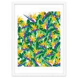 Summer Strelitzia thumbnail