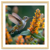 Hummingbird Feeding On Yellow Flowers Nectar thumbnail