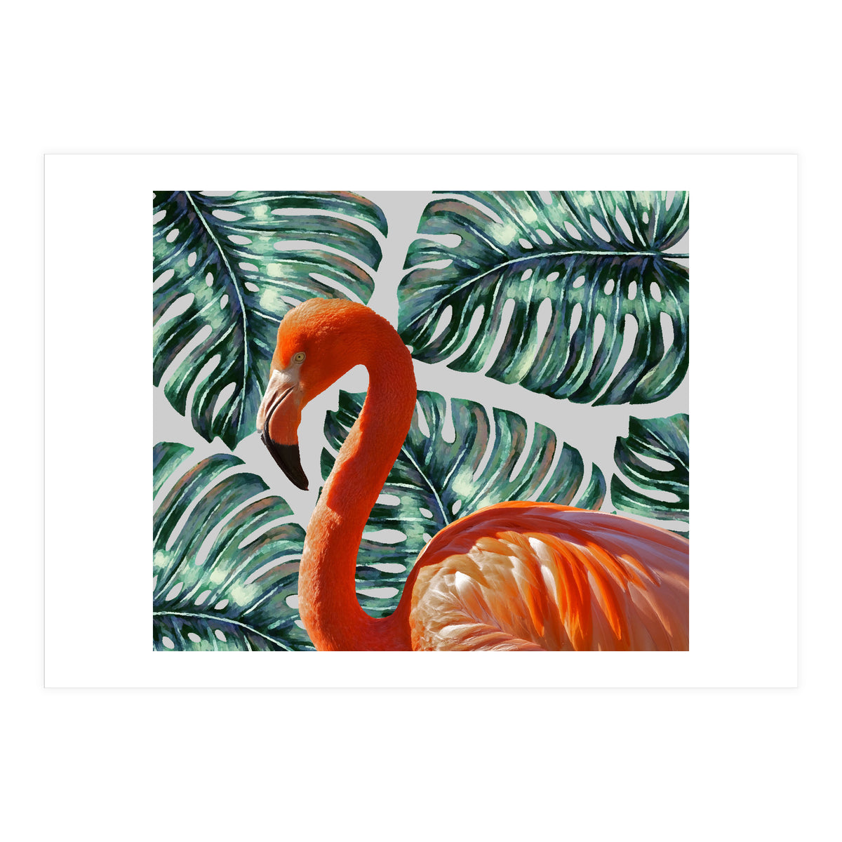 Flamingo Self Portrait (Print Only)