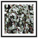 Rain #society6 #decor #buyart thumbnail