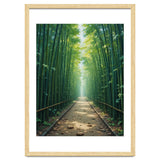 The Emerald Path: A Sun-Drenched Journey thumbnail