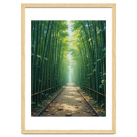 The Emerald Path: A Sun-Drenched Journey