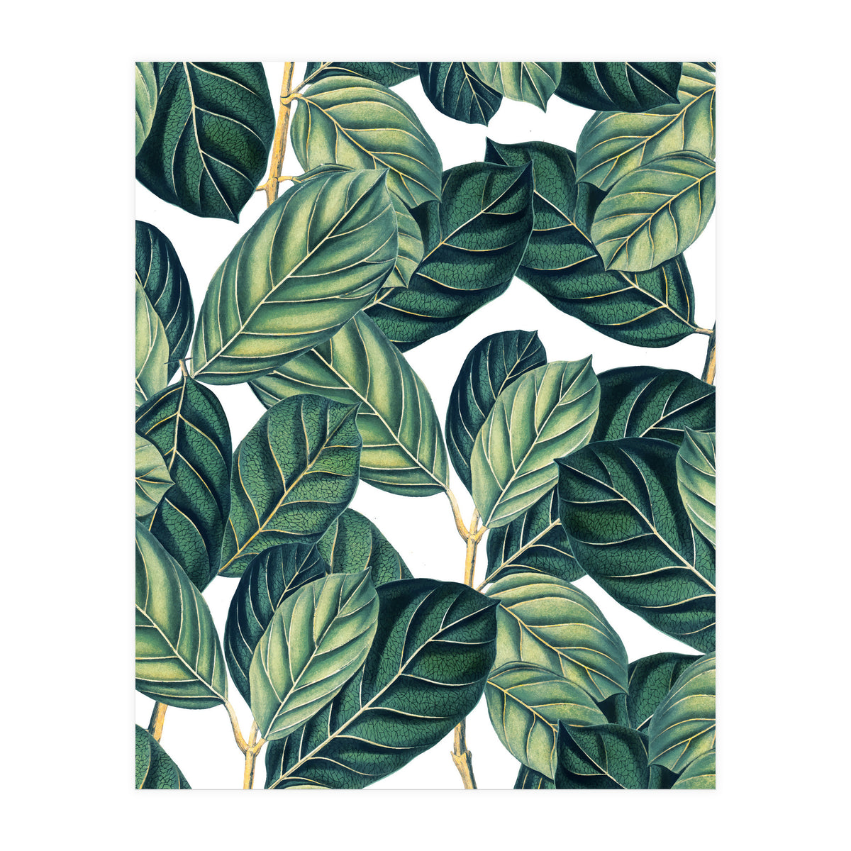 Botany #society6 #decor #buyart (Print Only)