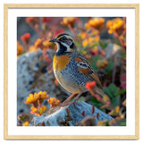 Bird Perched On A Rock With Flowers thumbnail