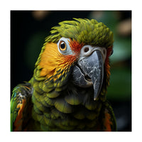 Close Up Of A Colorful Macaw Parrot Face (Print Only)